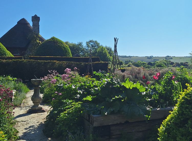 Colourful cottage garden with raised beds, flowering plants, and a traditional thatched-roof building overlooking the South Downs countryside.